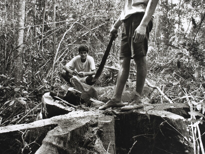 Metamorphosis. Brazil 1998. Courtesy of Weltmuseum Wien