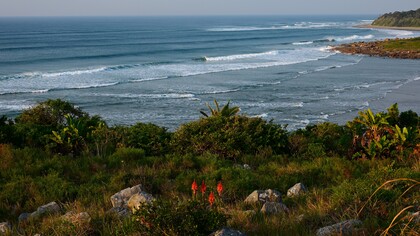 Coastal part of Amadiba territory @ Ashish Kothari
