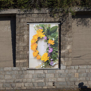 Petra Janda, Caesereans, exhibition view. Courtesy of Artwall Gallery