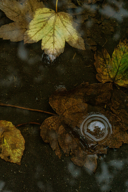 Mettersi in discussione è il primo passo alla base del sentirsi liberi