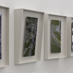 Sheeps don’t forget a face. Courtesy of Bendana | Pinel 