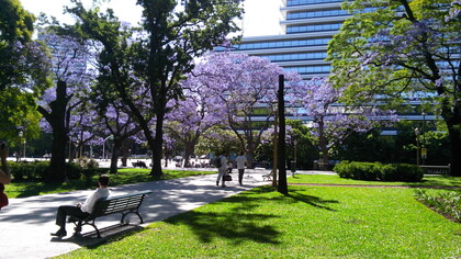 Buenos Aires se presenta como una metrópoli vibrante y diversa, capaz de conjugar lo europeo y lo latinoamericano en una oferta cultural inagotable