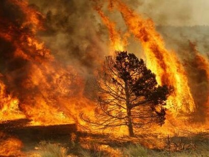 Bush fires in Australia 