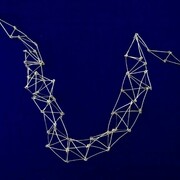 Flor Areinamo, Un bosque de neuronas. Cortesía de ABRA