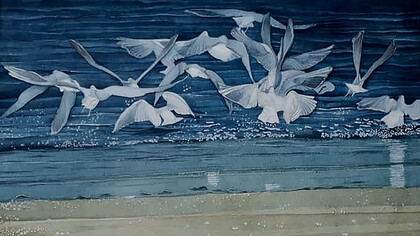 Volo nelle varianti blu