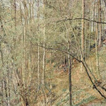 Franz Gertsch. Courtesy of Museum Franz Gertsch