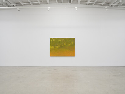 Richard Mayhew, Understory, exhibition view. Courtesy of Karma Gallery
