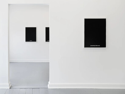 Gardar Eide Einarsson, Groaning, Nixon's voice, exhibition view. Courtesy of Nils Stærk Gallery