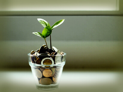 Sustainability credits monetize ecological improvement