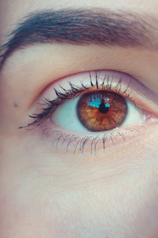 Capire è una cosa seria