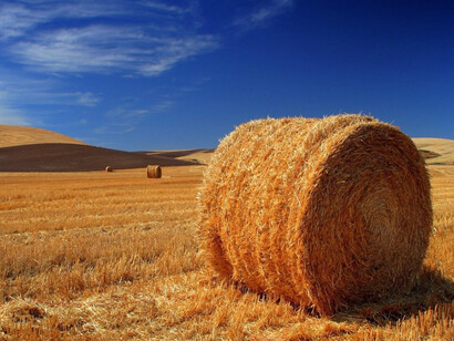 Fardos de forraje: cuando eras niña, estabas teniendo una pelea con tu madre en el mercado y, como parte de tu rabieta, pateaste un fardo de forraje que estaba en tu camino