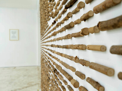 Camilo Guinot, Texto feral, vista de exhibición. Cortesía de Quimera Galería
