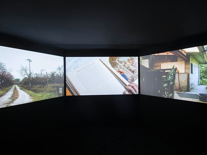 Guido Guidi, Col tempo, 1956-2024, vista della mostra. Per gentile concessione di Maxxi