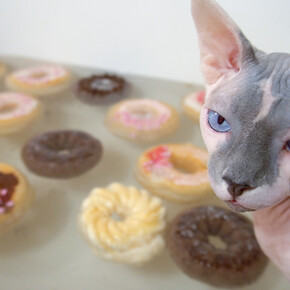 20/20. Courtesy of Peter Blum Gallery