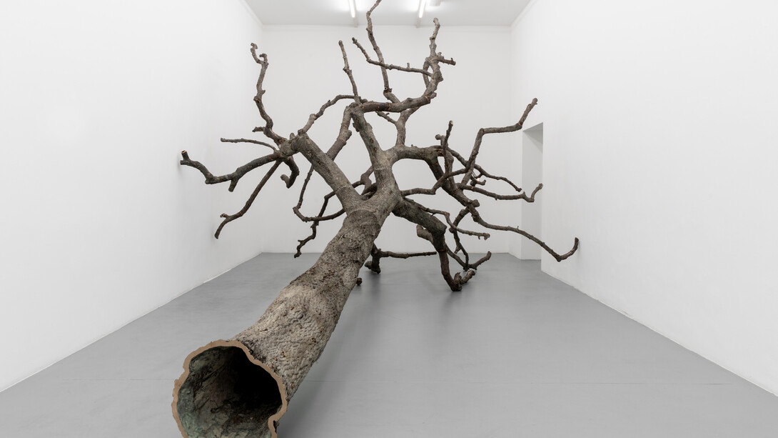 Ariel Schlesinger. Courtesy of Galleria Massimo Minini