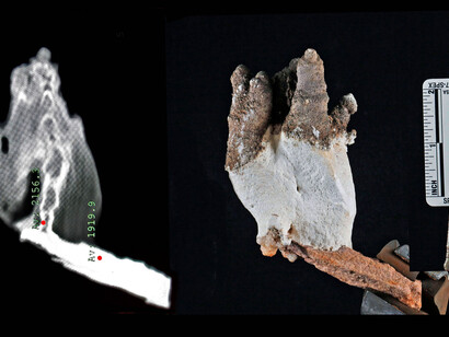 Bioespeleotema