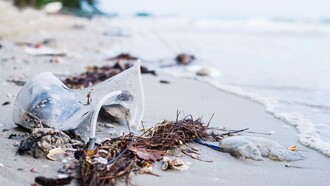 Ogni anno, milioni di tonnellate di plastica invadono i nostri oceani, danneggiando fauna e flora marine