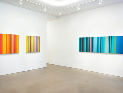 Tim Bavington, Exhibition view. Courtesy of Morgan Lehman Gallery