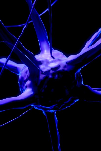 En unas dos décadas se puede haber descifrado «el código cerebral»