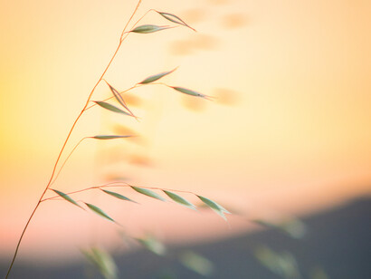 Meditazione