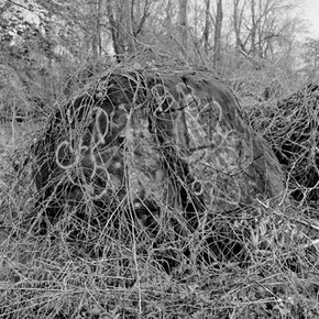 Mitch Epstein, Pelham Bay Park, Bronx, 2014. Courtesy of Galerie Les filles du calvaire