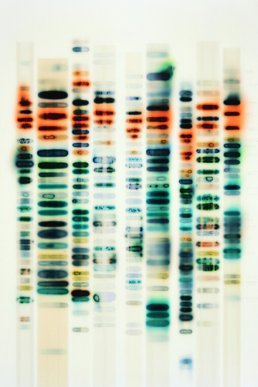 Jaq Chartier. Courtesy of Dolby Chadwick Gallery