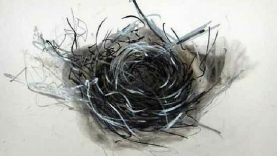 Wayne Zebzda, Nest 1 , 2010, 14 x 14 in, Carbon Smoke, Ink, graphite on Paper