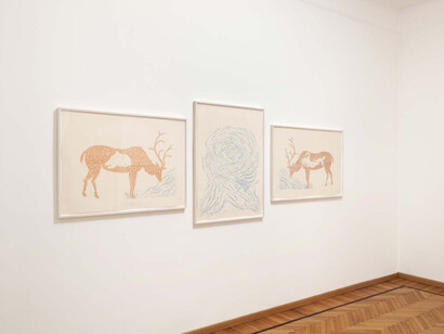 Claudia Losi, Tempo crudo, vista della mostra. Cortesia della Monica De Cardenas