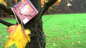 Un libro esperando un nuevo lector entre las ramas de un árbol
