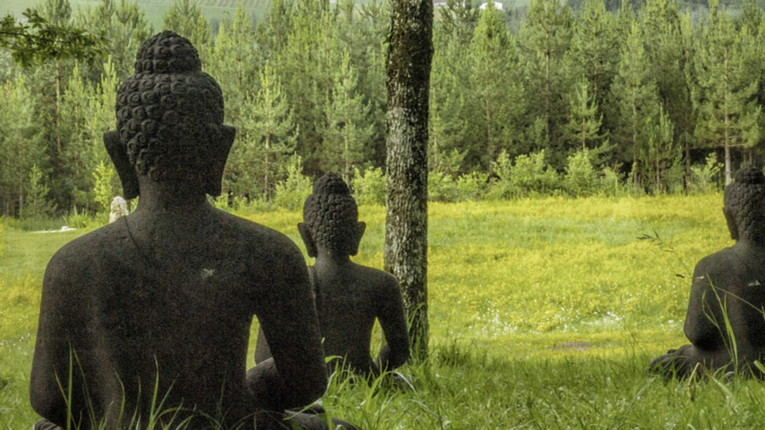 Buddhismo Impegnato