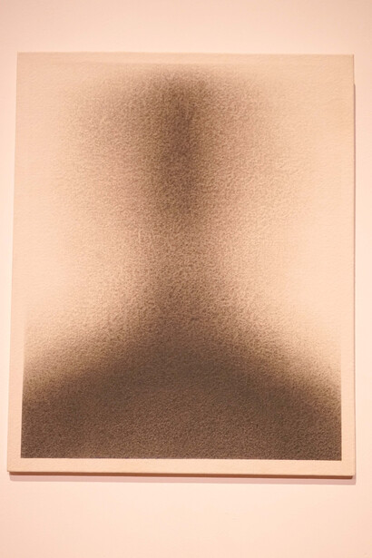 VIA Arts Prize 2017. Install Shot