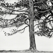 Ian Ruhter. Courtesy of Art Ventures Gallery
