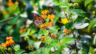 Pocas veces pensamos que cuando damos un paso, decidimos cambiar, hemos acertado