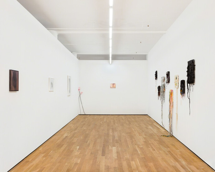 Condo New York, Exhibition view. Courtesy of Foxy Production