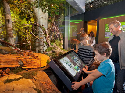 Habitats Diorama. Courtesy of Haus der Natur 