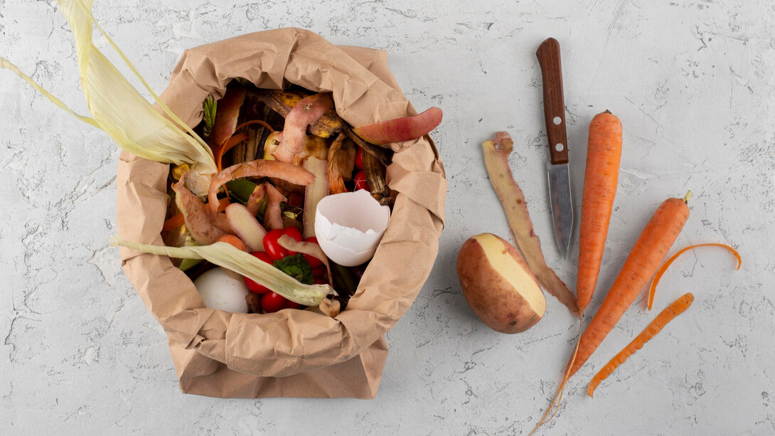 In the right infrastructure, garbage disposals can turn waste into renewable energy, reduce methane emissions and support circular economies