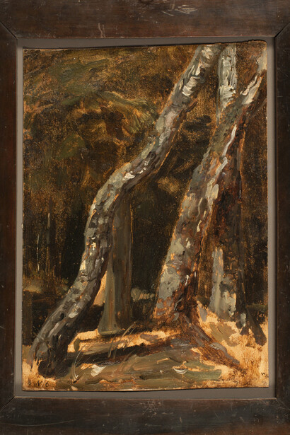 Fragment Natur. Courtesy of Galerie Knoell