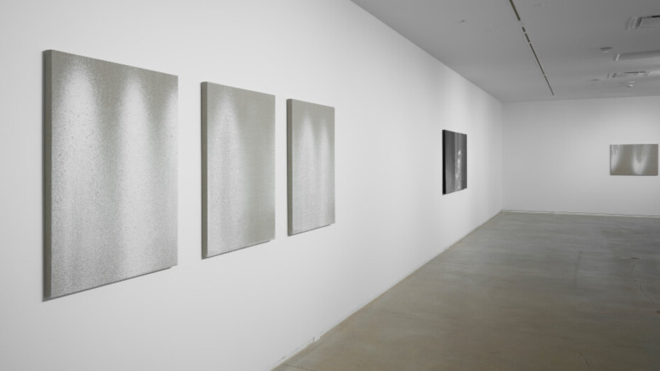 Amie Siegel. Courtesy of Blaffer Art Museum