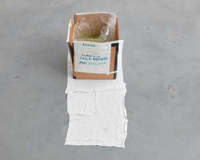 Susan Cianciolo, The Kit of Glitter and Love, 2016, cardboard box, glitter, plastic bag, drawing, Yale Union poster, masking tape, cloth tapestry, 47 x 94.5 x 45.2 cm, 18 1/2 x 37 1/4 x 17 3/4 ins, (MA-CIANS-00012) courtesy Stuart Shave/Modern Art, London 