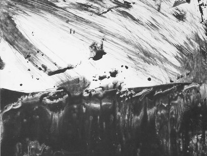 Rita Says, 'Natural History 4', Ink and wash on paper, 24.6 x 20 cm, 2015