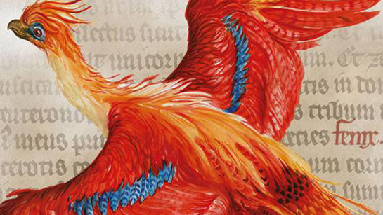 Harry Potter: A History of Magic. Courtesy of New-York Historical Society