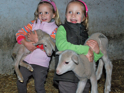 Los niños que conviven con animales desarrollan menos alergias