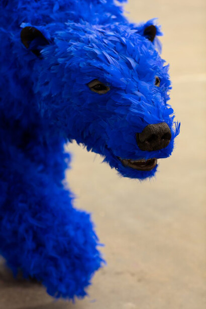 Paola Pivi. Courtesy of The Bass