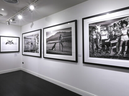 Winter Contemporary. Courtesy of Maddox 