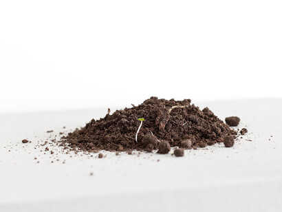 Ruth Ewan, Topsoil from A Revolutionary Advent Calendar