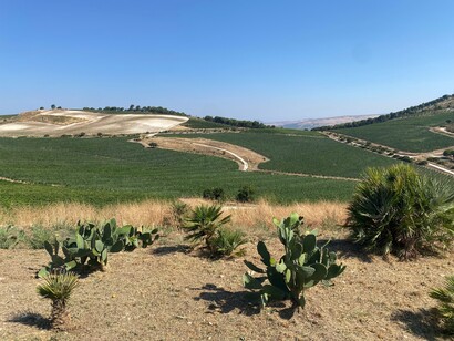 Tenuta Serra Ferdinandea. Foto di Germana Cabrelle