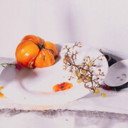 Laura Letinsky, 100 no, 2023. Courtesy of Document Gallery