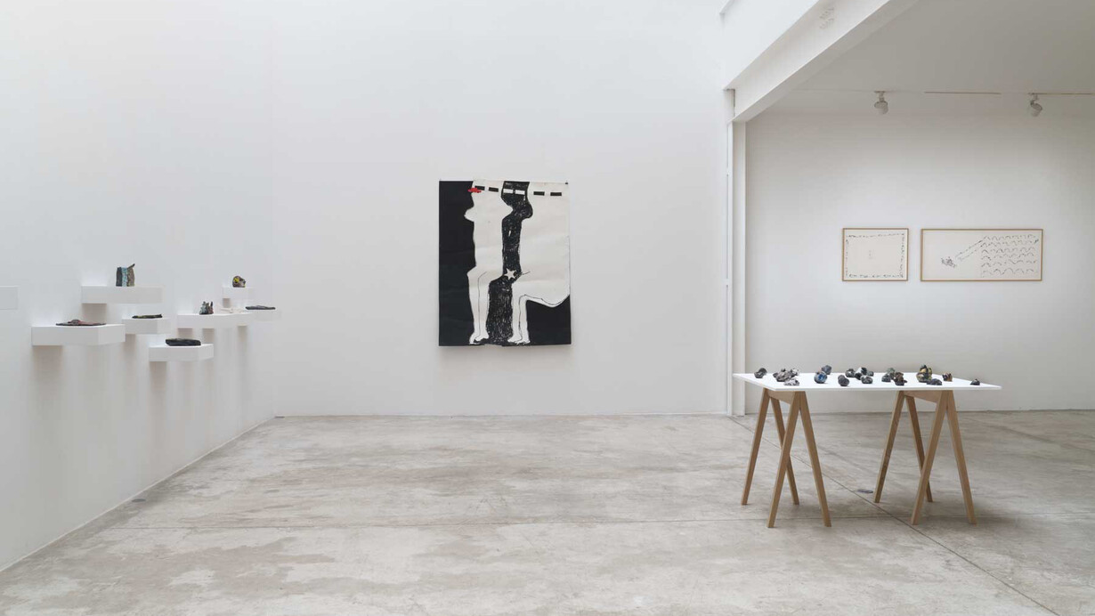 Anne-Marie Schneider, Ecriture allongée, vue d'exposition. Avec l'aimable autorisation de la galerie Michel Rein