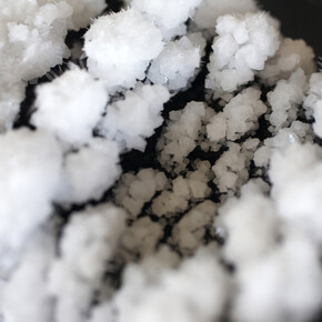 Charlotte Charbonnel