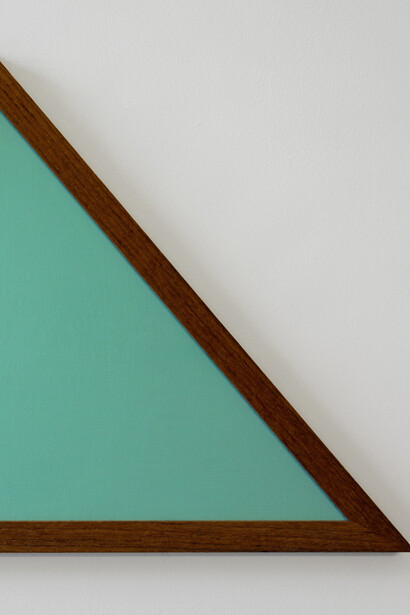 Gary Colclough. Any More Than Nature. Close detail